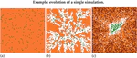 Assessing the robustness of decentralized gathering: a multi-agent approach on micro-biological systems